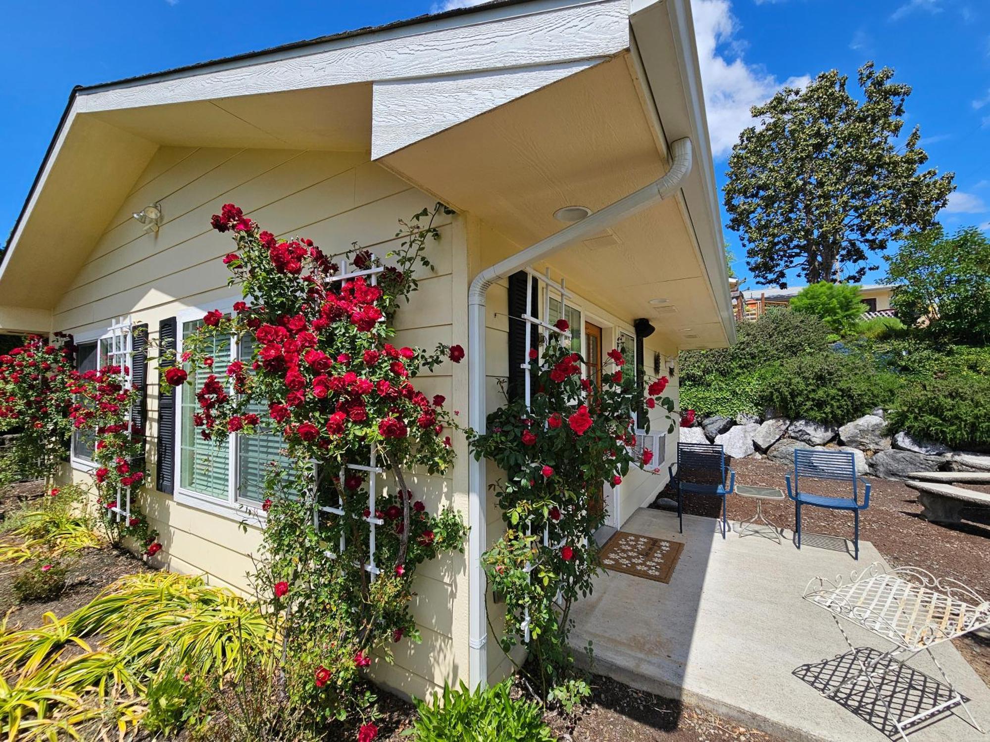 Charming, Private Cottage In Myrtle Creek Exterior photo